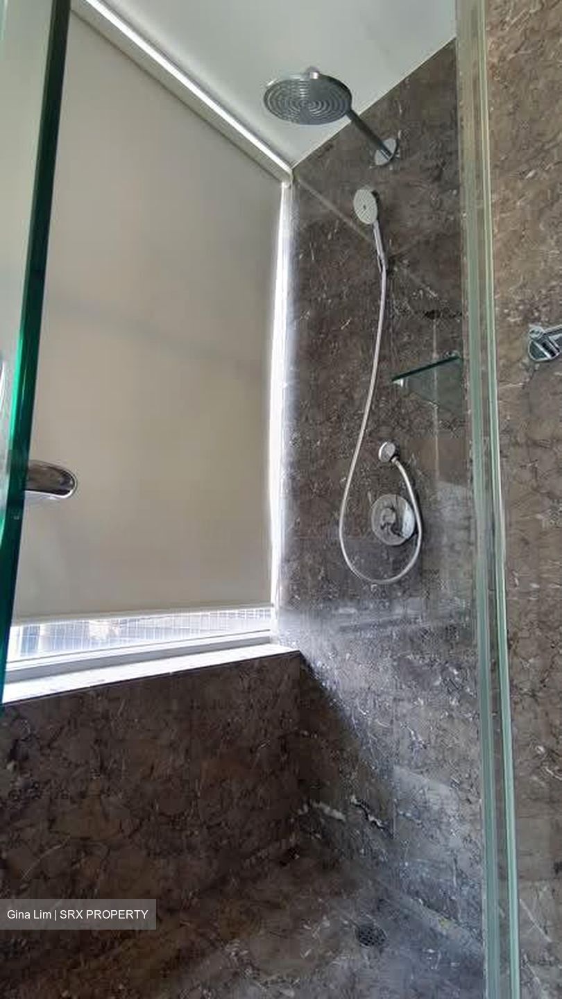Suites @ Cairnhill (D9), Apartment #602861121